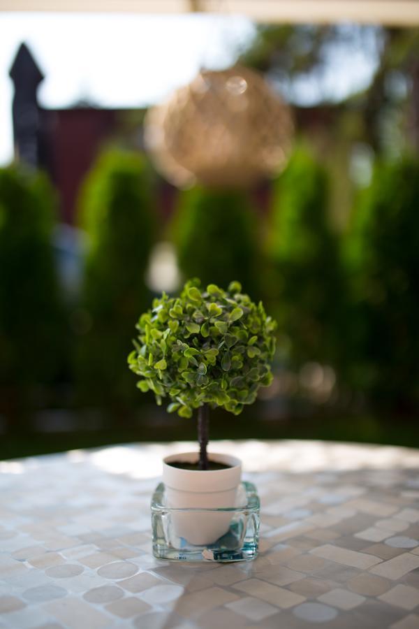 Apartments Cvetkovic Relax นิชกา บานยา ภายนอก รูปภาพ
